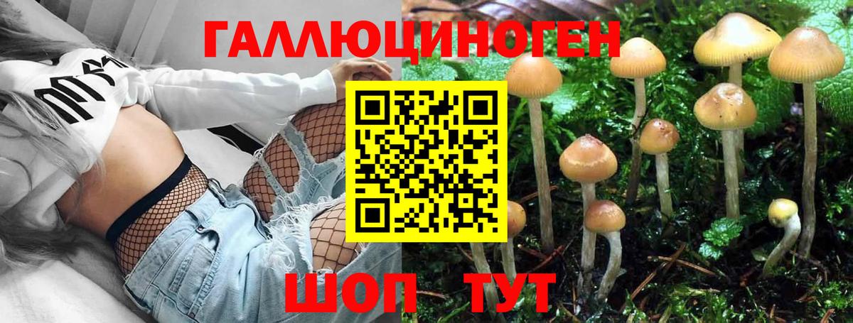 Псилоцибиновые грибы Cubensis Людиново